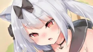 【2.5D】おまけ【1V/度盘/1G】