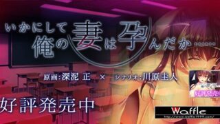 【CG】いかにして俺の妻は孕んだか……【度盘/秒传/302M】