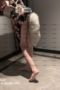 【三次元/免币】高质量网红@狼先生&猫小姐 尺度私拍合集[81P+11V/67M]