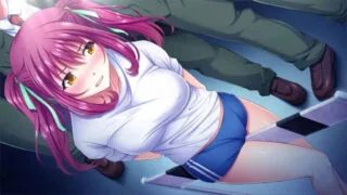 【调教SLG/汉化】人妻调教监狱学园：鬼畜与背叛的崩溃轮回！汉化+全CG【PC/安卓KR】