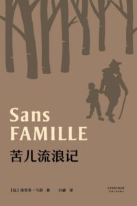 【名著】《苦儿流浪记》