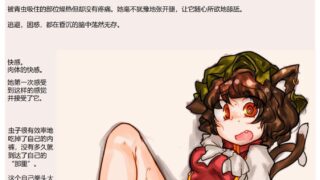 【CG图集/个人汉化】奇妙な遊び【度云】