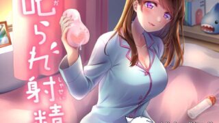 【绒布球汉化/RJ272384】(ASMR)[もぷもぷ実験室]叱られ射精 / 在责备中射精 -姐姐的飞机杯-[视频内嵌字幕+MP3]【OD+萌盘+度盘】2021.02.04