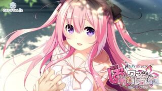 【AVG】与紫苑同住 共结情缘的剑舞恋曲SS 汉化免安装版[358M]