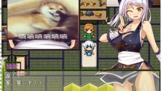 【RPG/汉化】被寝取的女忍绫女忍法帖 安卓+PC 精翻汉化版【新汉化/620M】