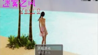 【国产RPG/中文/全动态】迷雾之风 V1.0 官方中文步兵版[PC/安卓+攻略]【2.7G/新作】