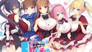 【PC/ADV/生肉】彼女は友達ですか？恋人ですか？それともトメフレですか？【度盘+萌盘/3.35GB】