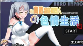 【HAG/汉化/全动态】和高傲智能机器人的下流生活 精翻汉化版[佳作/全CV][160M/FM/度盘]