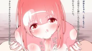 【同人CG集】【免币】 [グレップソーダ (名月あき)] Hの経験がないお姉ちゃんが弟と初体験するお話【磁力】