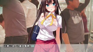 【ADV/云汉硬盘】电车工乐园【秒传/1.6G】