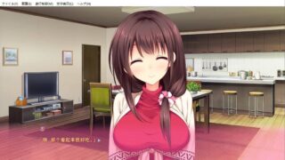 【PC/ADV/云汉硬盘】像色晴游戏一样的社保生活 1【3.4G/秒传】