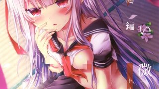 【本子/大合集】74位优秀画师自收藏整理【72G】