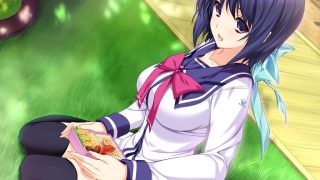 【CG】LOVELY×CATION系列【度盘/2.08GB】