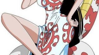 【本子】海贼王女帝系列36本【度盘】