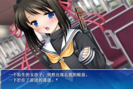 【AVG】     120円        NekoNeko Software（猫猫社） 【度盘/851MB】