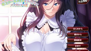 【ADV/生肉】让满脸嫌弃的冷酷女仆堕落生育的故事【PC/安卓/450M】