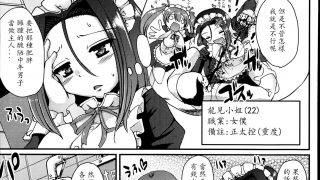 【本子】女仆本子合集【秒传/3.61g】