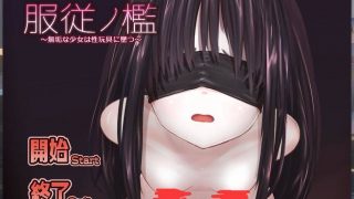 【生肉】服従ノ檻～無垢な少女は性玩具に墜つ～【度盘/160M】