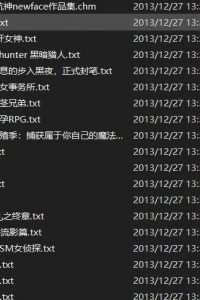 【小说】坑神newface小说合集【度盘秒传/5.5MB】
