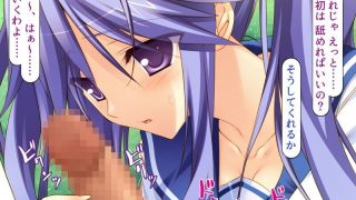 【同人CG集】【免币】[softhouse-seal (熊虎たつみ)] 極度のブラコン姉の変態性欲【磁力】