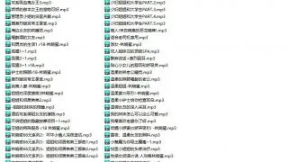 【神级有声/超贵重】林晓蜜价值千元超社保音声：119部！定制大合集【珍稀/ASMR/4.3G】