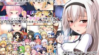 【补档】【游戏/生肉/RPG/PC】正しい性奴隷の使い方【度盘/1.53GB】