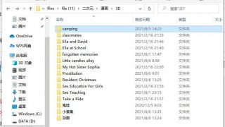 【3D】camping（铜矿、测试）【度盘/51MB（60P）】