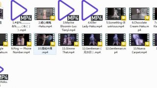 【MMD】Forget Skyrim（27G）