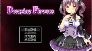 【汉化/RPG/PC】Decaying Flowers【秒传+GoogleDrive+Trainbit+Usercloud 247MB】