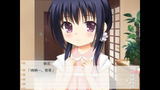 【ADV/汉化】妹妹和保健体育【磁力/度盘/164M】