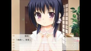 【ADV/汉化】妹妹和保健体育【磁力/度盘/164M】