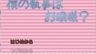 【全年龄/RPG】我的执事是大小姐？【秒传+GoogleDrive+Usercloud+Trainbit 503MB】