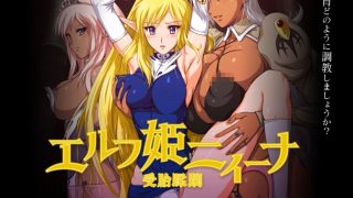 【KRKR/PC（未汉化）】精灵公主妮娜
