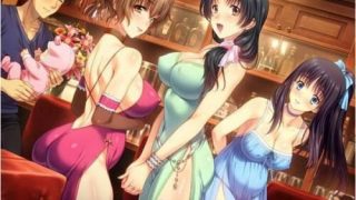 【AVG】妻中蜜3 动画+游戏，攻略+CG【度盘/3.1G】