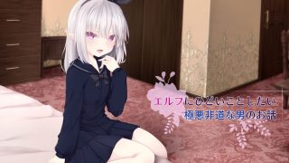 【同人CG集】【免币】 [Sasaria (沙々々)] エルフにひどいことしたい極悪非道な男のお話【磁力】