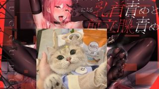 【ASMR】低音ボイスの汗だくサキュバスによる乳首責めと前立腺責め【度盘/6.62GB】