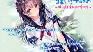 【ASMR】【RJ278695】潤いの耳舐め ～姪と過す濡れ透け夏物語～【度盘/489MB】