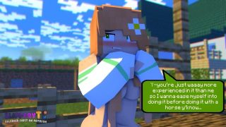 【3D/MC/SlipperyT】SlipperyT我的世界 【视频图片合集/11v/474MB】