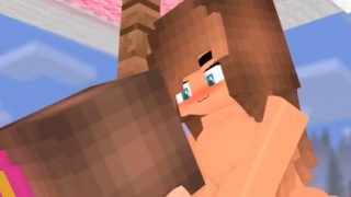【3D】我的世界，方块人也可以很涩