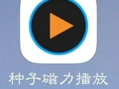 【软件推荐】种子磁力播放器