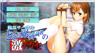 【3D/生肉/PC】炮姐同人/輪姦サークル とある緊縛調教の激イカセ
