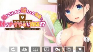 【拔作ADV/PC】 和青梅竹马的姐姐老师H是很正常的关系！？【onedrive/900m】