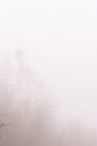 【写真】FantasyFactory 小丁合集【磁力/49.1G】