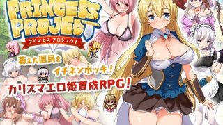 【双端/RPG/中文】公主养成计划 官中步兵+全CG存档