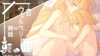 【RPG】威尔伯里的姐妹【PC/萌盘/生肉/含存档】