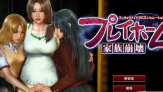 【3D游戏】[超巨制]家族崩坏V19/官方中文/完美学习版【150G/秒传】