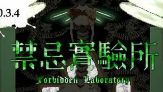 【ACT】Castle of Temptation V0.3.4α【像素风/更新】
