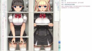 【PC/RPG/自制/中文】你的xp有点奇怪(跳蛋玩具游戏)[mega(要翻墙)1.7gb]