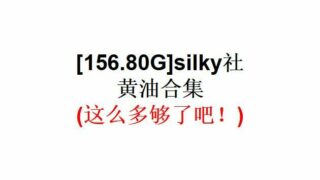 【游戏合集】silky社黄油合集【156.80G】