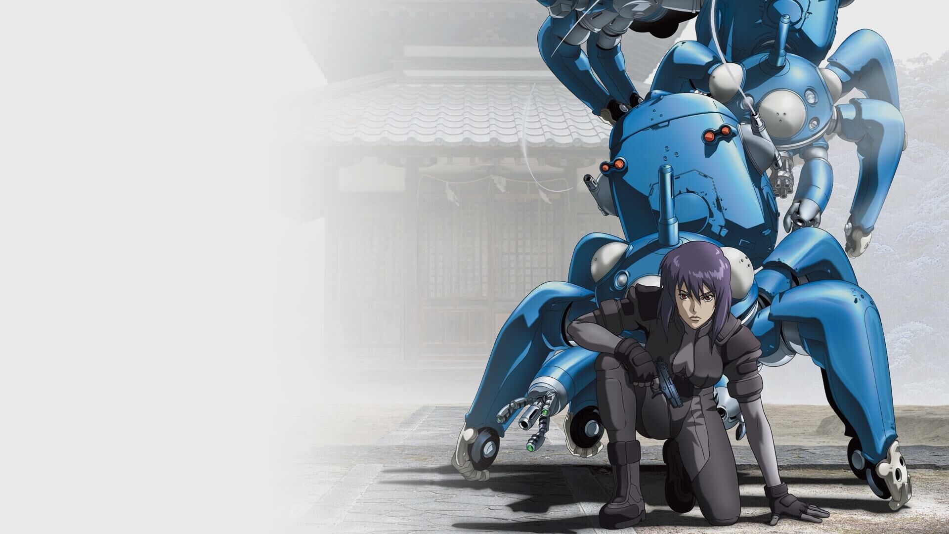 【番剧】[POPGO][Ghost in the Shell Stand_Alone_Complex] [BDRIP][1080P] 【磁力 29.7G】 — 第 1 张